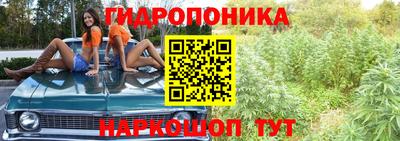 альфа пвп Новокубанск