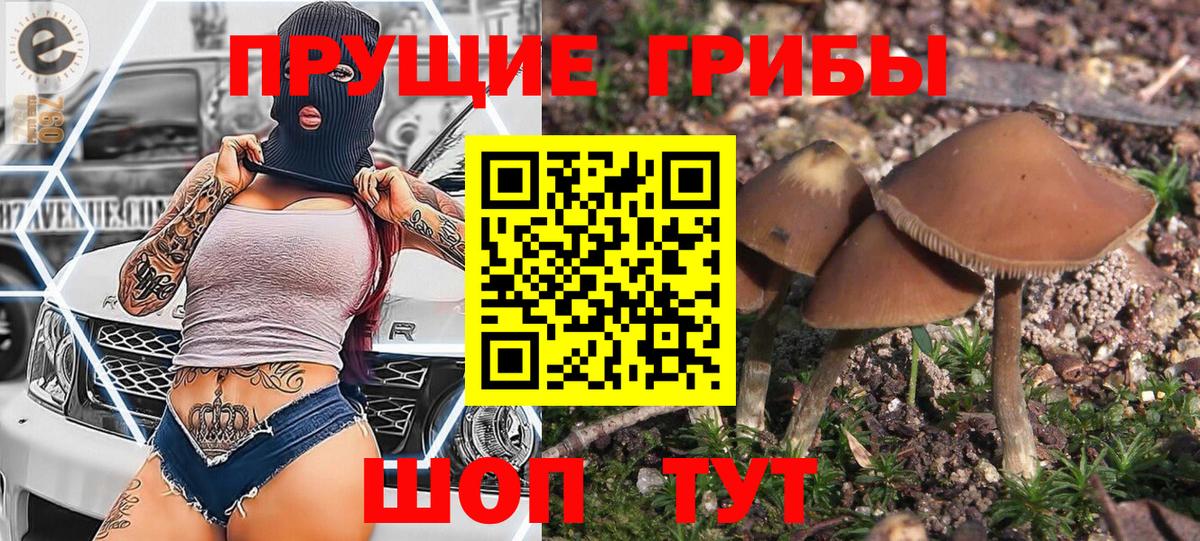 Псилоцибиновые грибы Psilocybine cubensis Сочи