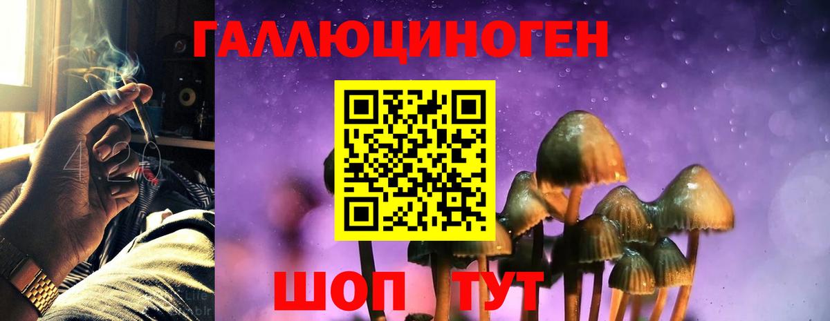 Галлюциногенные грибы Magic Shrooms  Вход с VPN  Сочи 